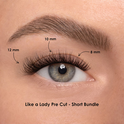 LIKE A LADY BUNDLE