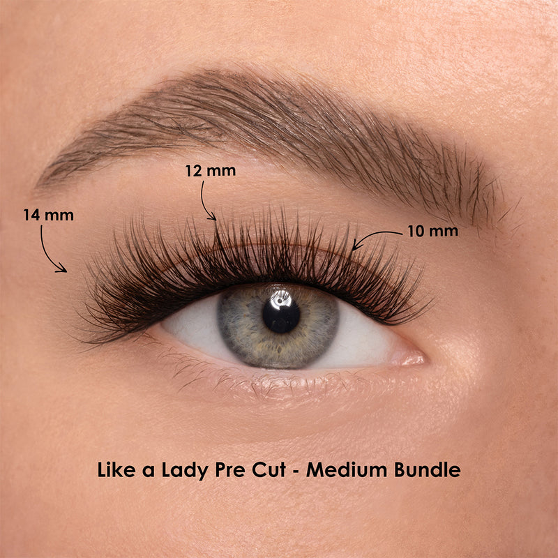 LIKE A LADY BUNDLE