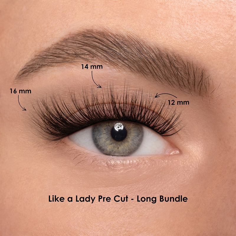 LIKE A LADY BUNDLE