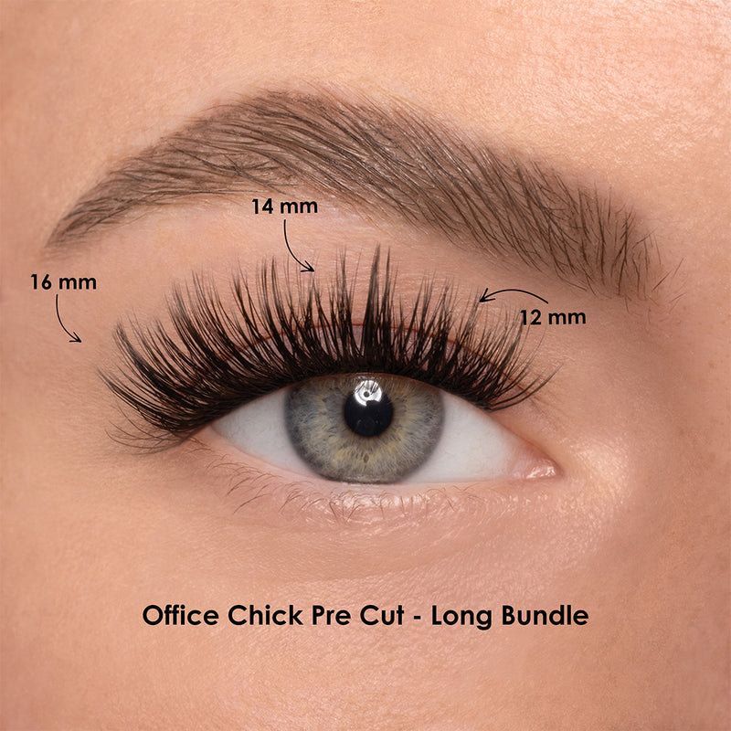 OFFICE CHICK BUNDLE