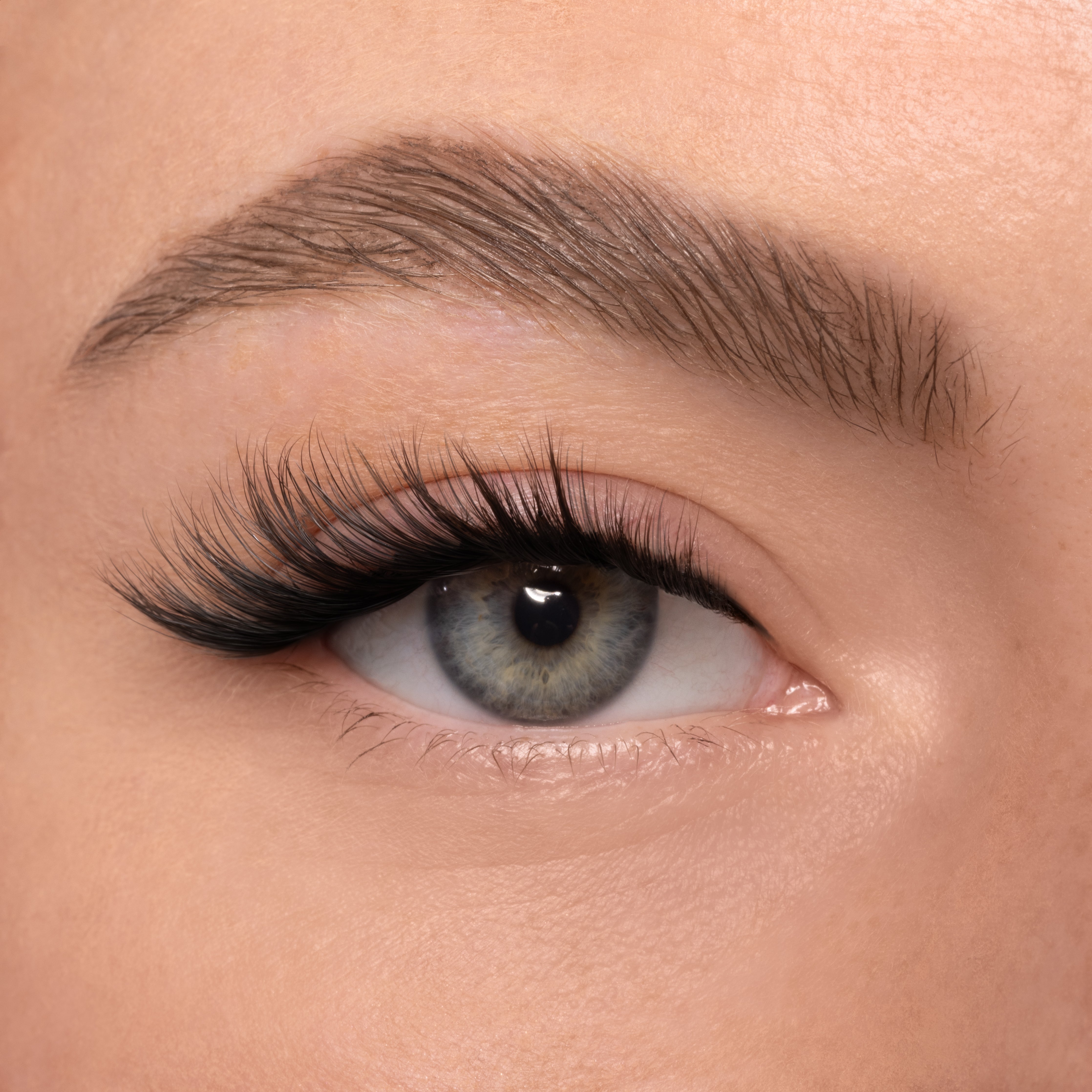 OJOS DE ZORRO MAXI (4 mm-16 mm)