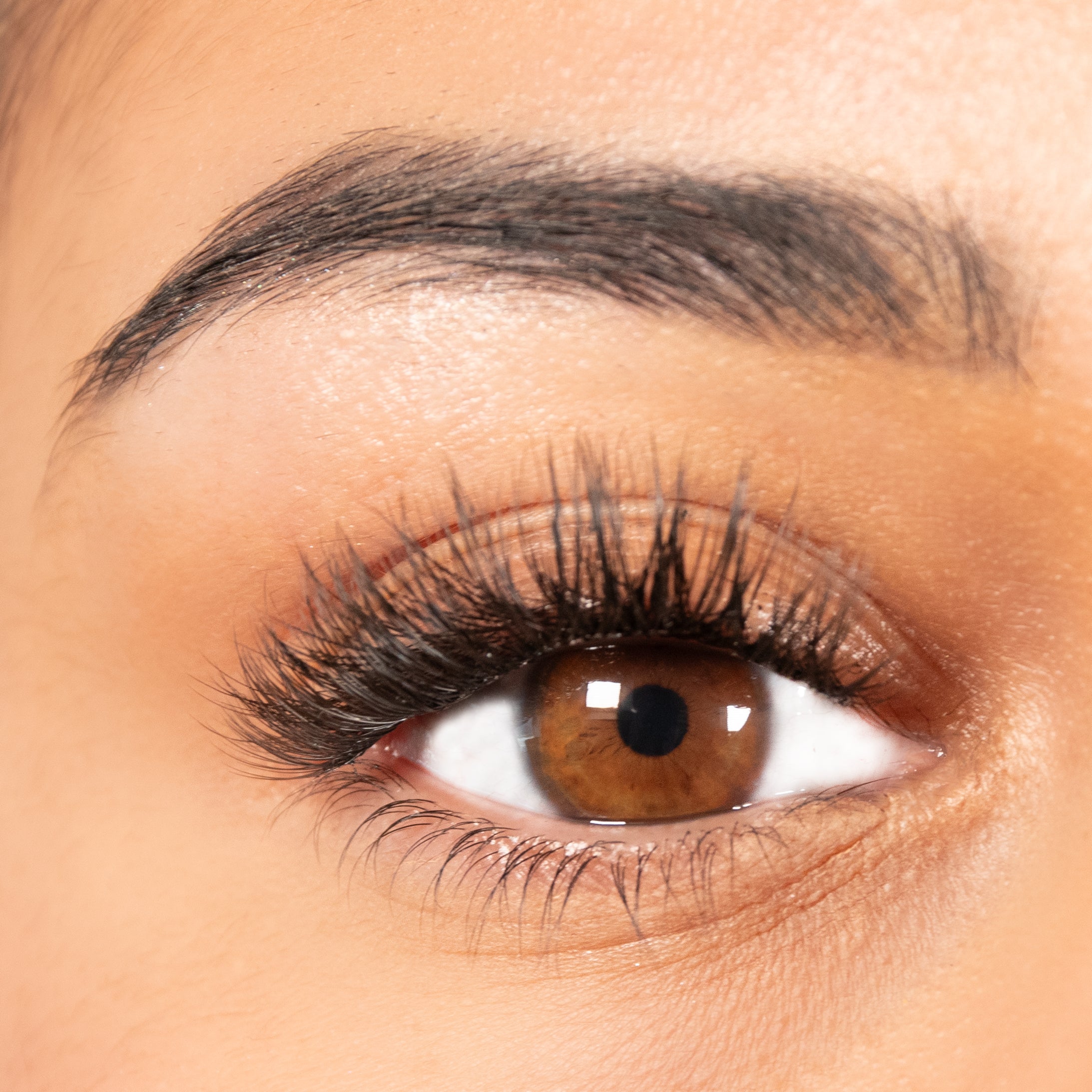 LASH BOSS STARTER KIT (8mm-13mm)